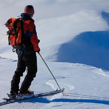 Arctic Panorama Lodge Uløybukta Dış mekan fotoğraf