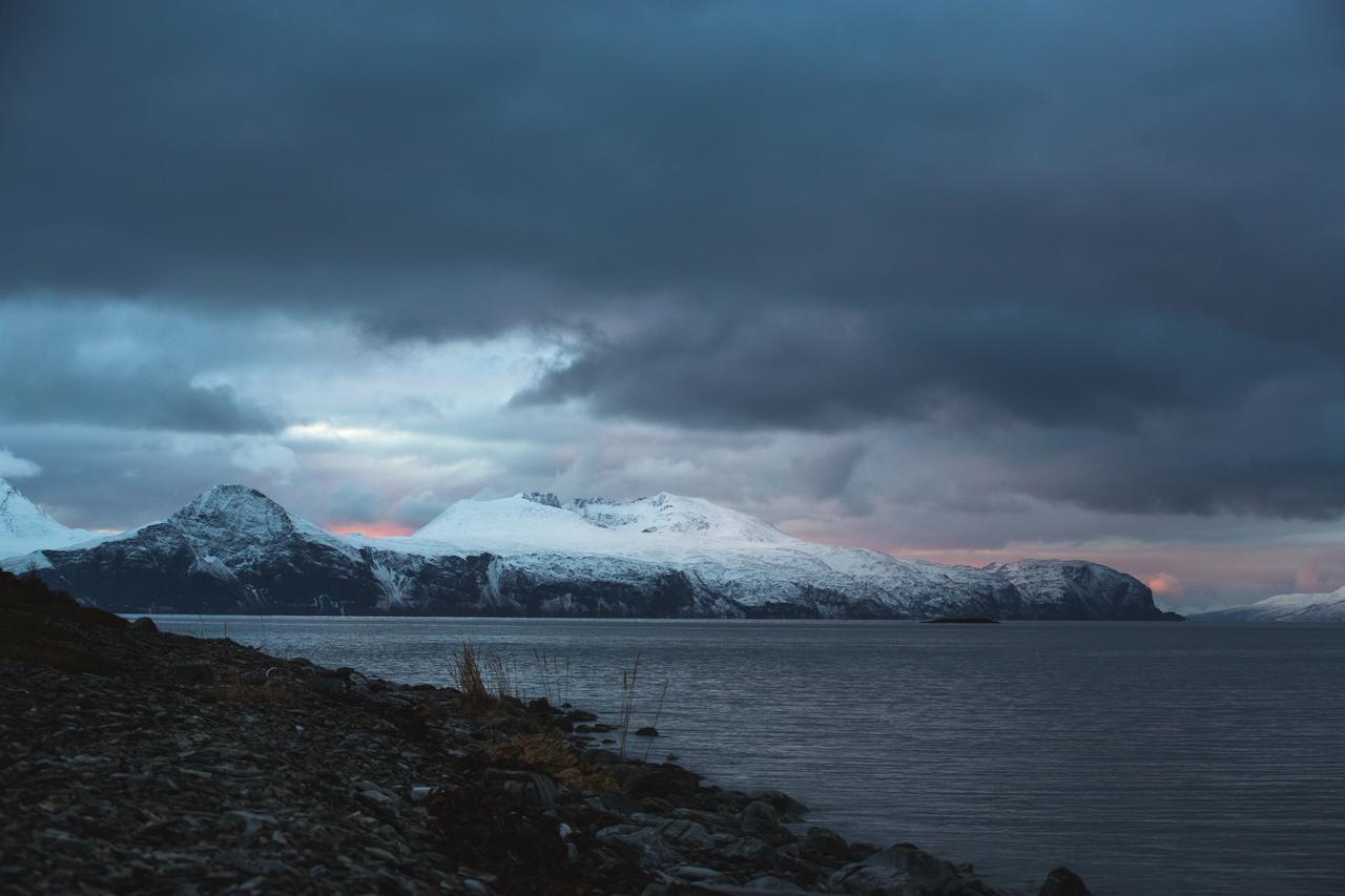 Arctic Panorama Lodge Uløybukta Dış mekan fotoğraf