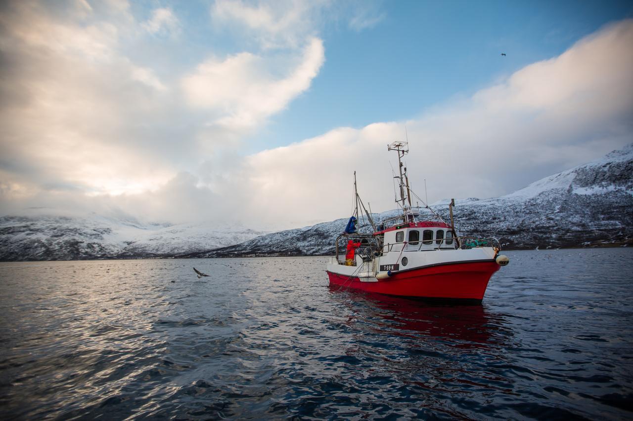 Arctic Panorama Lodge Uløybukta Dış mekan fotoğraf