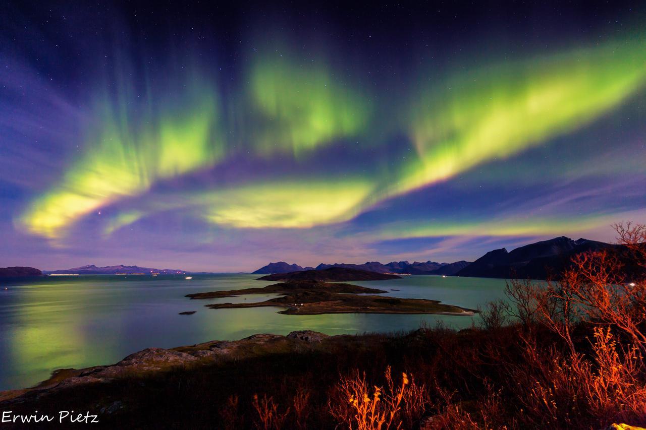 Arctic Panorama Lodge Uløybukta Dış mekan fotoğraf