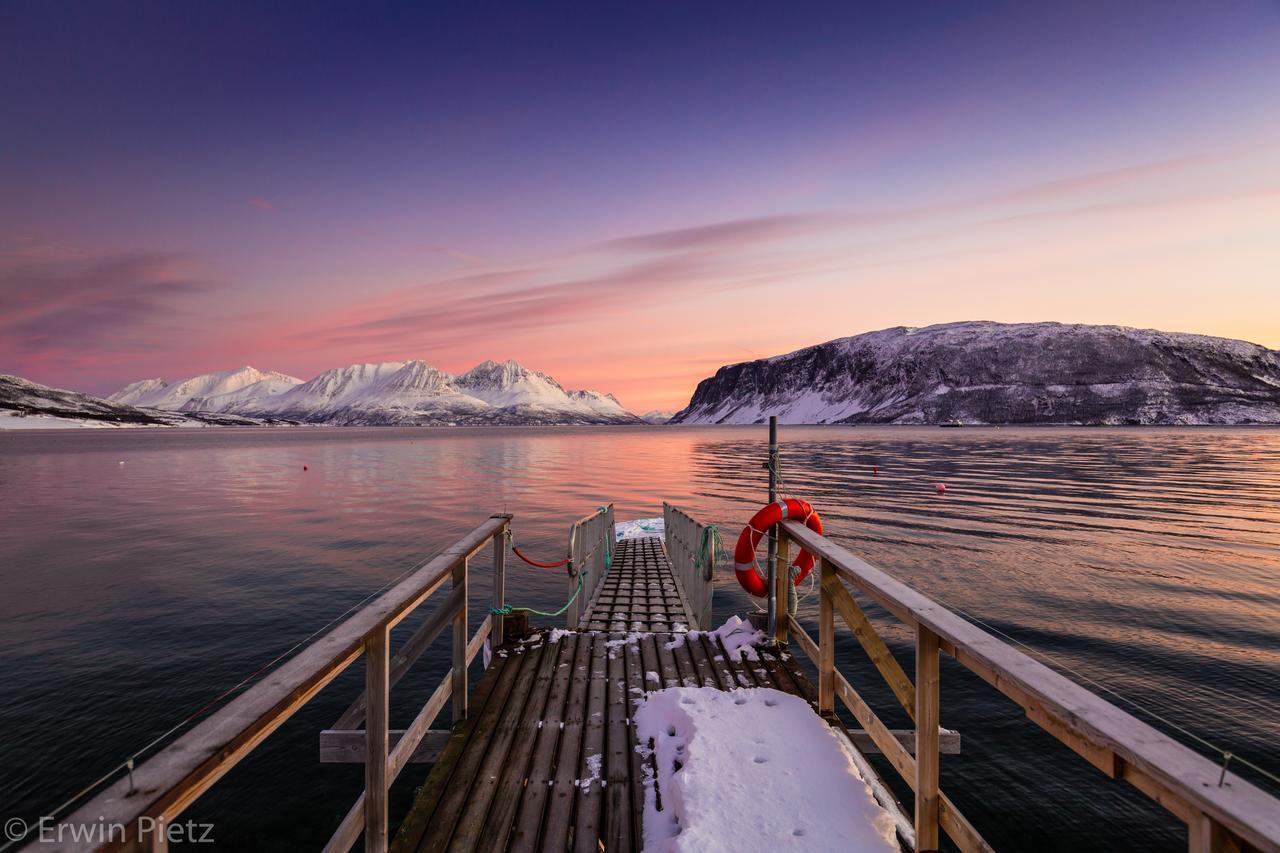 Arctic Panorama Lodge Uløybukta Dış mekan fotoğraf